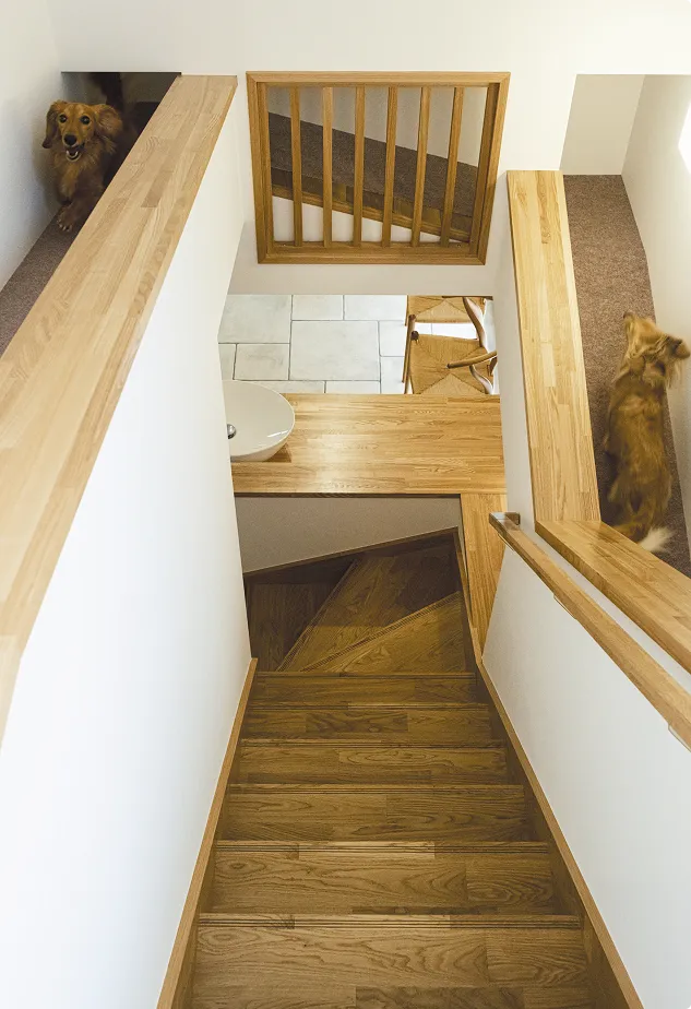 愛犬との暮らしを楽しむお住まい