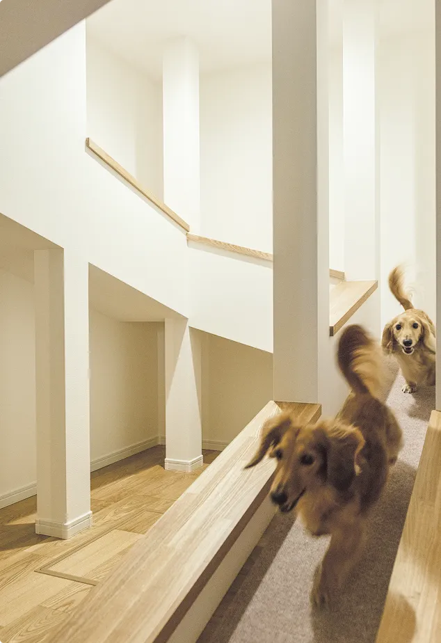 愛犬との暮らしを楽しむお住まい