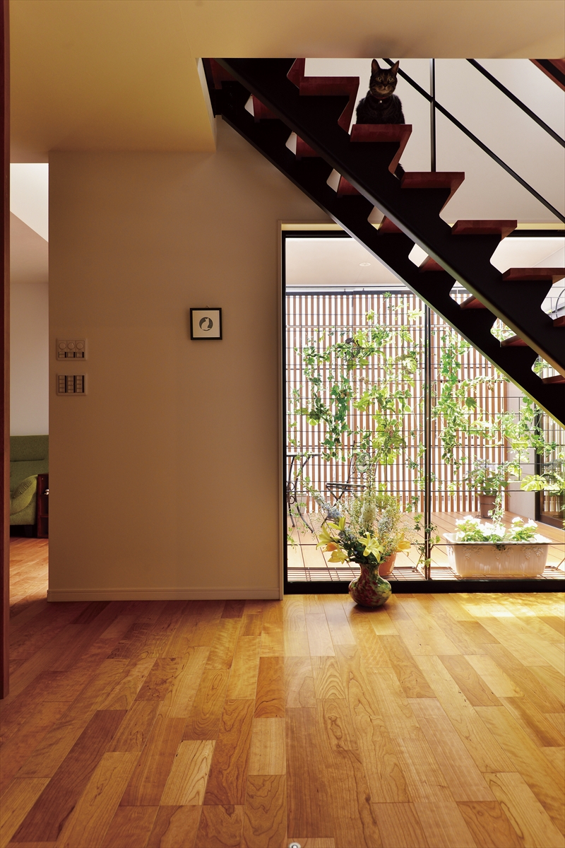 中庭のある「猫と暮らす家」-ストリップ階段