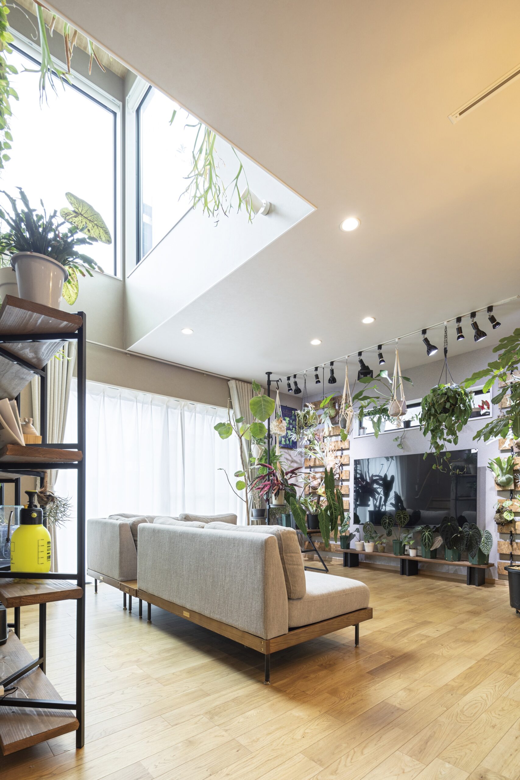 趣味の植物に囲まれたリビングは、ソファで寛ぎながら好きなものを眺める特等席。