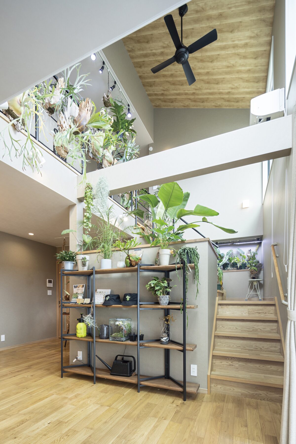 植物に囲まれた心地よい暮らしを楽しむ、神奈川の注文住宅