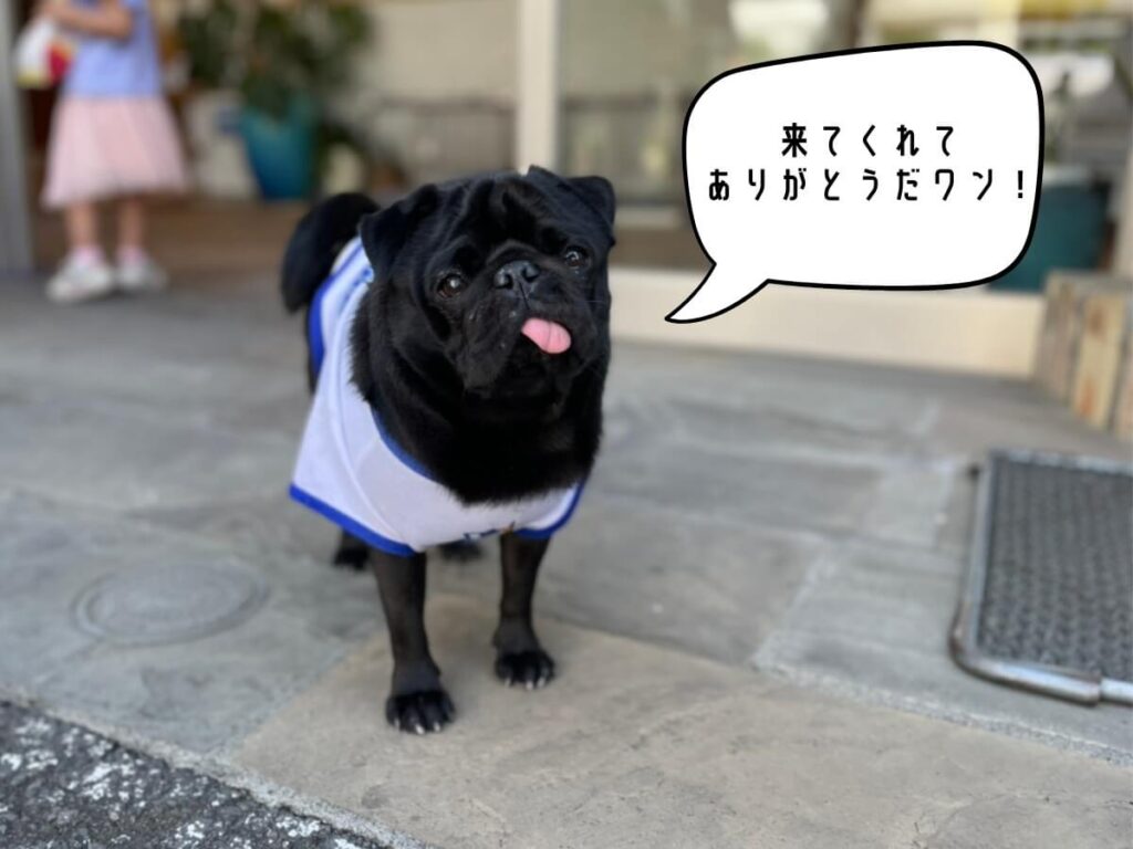 【イベントレポート】家族の思い出を形に!春の大感謝祭を開催しました。
